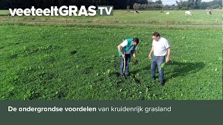 De ondergrondse voordelen van kruidenrijk grasland [upl. by Enilkcaj]