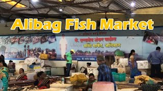 Fish Market Alibag PNP Nagar  Affordable Fish [upl. by Kalam429]