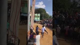 Dipawali festivalTamil Nadu festival 🫣🔥🔥MT BULLS hattihabba jallikattu horihabba [upl. by Ttirrem]