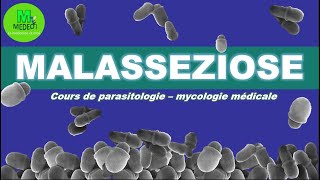 MALASSEZIOSE cours de parasitologiemycologie [upl. by Engedi]