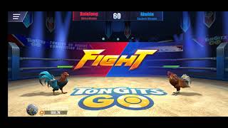 online virtual sabong game play [upl. by Iden150]