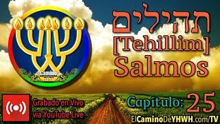 Salmo 25 Tehilim תהילים David pide dirección perdón y protección [upl. by Auvil]