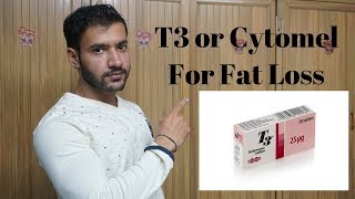 T3 or Cytomel For Fast Fat Loss [upl. by Marlen]