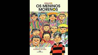 Audiolivro Os meninos morenos [upl. by Llenehs]