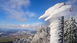 Bavarian Forest – Magic Winter [upl. by Notlimah]