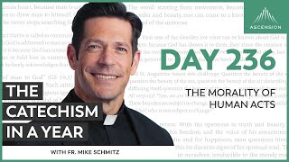 Day 236 The Morality of Human Acts — The Catechism in a Year with Fr Mike Schmitz [upl. by Freiman765]