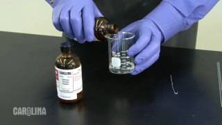 Nylon Synthesis Chemistry Demo [upl. by Ahselef]