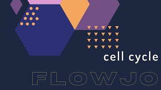 FlowJo CELL CYCLE [upl. by Nilesoj]