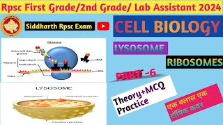 Cell Biology Lysosome and RibosomesRpsc first grade lab assistant exam top MCQ 2024 [upl. by Yoko]