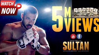 Sultan Movie Breakdown Earnings Cast Insights and Profit Analysis [upl. by Akere]