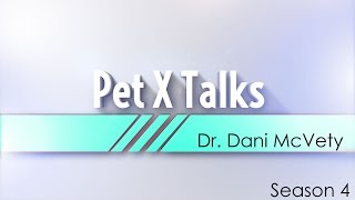 Pet X Talks  Dr Dani McVety  The Compassion of Euthanasia  Quality of Life amp Quality of Death [upl. by Anan]