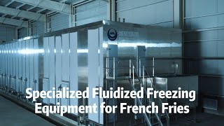 Specialized Fluidized Freezing Equipment for Perfect French Fries [upl. by Haissem]