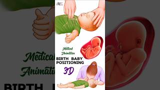 Birth  Baby Positioning medical animation 3d short BiologywithAliya [upl. by Auqenwahs]