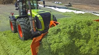 Lohnunternehmen Piening Teil 2  Grasernte mit Claas Axion Holmer Terra Variant im Doppelpack [upl. by Atiuqad521]