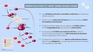 HEMOSTASIA DOACs Galeano Stefani R1 [upl. by Ronen]