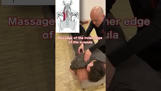 Massage of the inner edge of the scapula massage [upl. by Cordi]