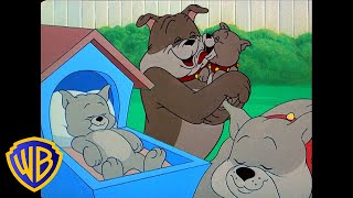 Tom amp Jerry  The Best Doggy Dad Ever 🐶  Fathers Day  Classic Cartoon Compilation  wbkids​ [upl. by Erland]