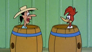 Woody is Wanted  25 Hours of Classic Episodes of Woody Woodpecker [upl. by Akirat]