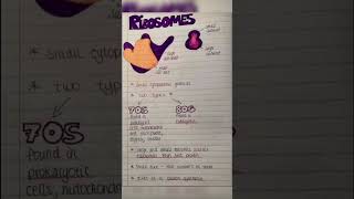 Ribosome biology and physiology  medical 20 [upl. by Lledrev716]