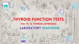 Thyroid Function Tests TSH T4 T3 Thyroid Antibodies  تحاليل وظائف الغدة الدرقية [upl. by Selwin]