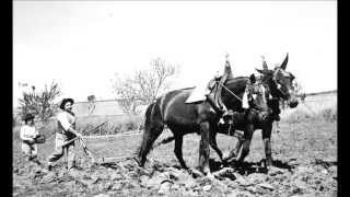 O ALENTEJO DE ANTIGAMENTE [upl. by Harlamert]