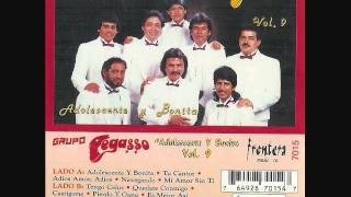 GRUPO PEGASSO PIERDO Y GANO VOL9 1989 [upl. by Alemaj]