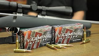 65 Creedmoor 95gr VMAX® Varmint Express® Indepth Overview [upl. by Denman]