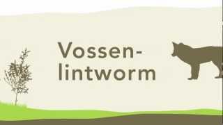 Vossenlintworm [upl. by Culhert84]