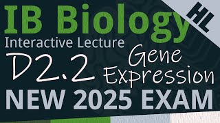 NEW 2025 EXAM  IB Biology D22  Gene Expression AHL  Interactive Lecture [upl. by Wallace]