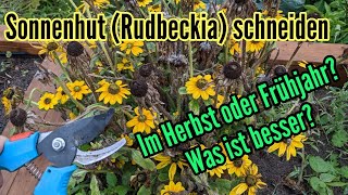 Rudbeckia schneiden im Herbst  Sonnenhut jetzt zurückschneiden oder besser erst im Frühjahr [upl. by Balduin]