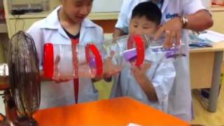 Bernoulli Experiment [upl. by Anilec]