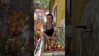 albania food farmasotira nature farmanimals cooking farm [upl. by Peggi879]