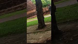 Visiting through Ayutthaya pls subscribe [upl. by Izak179]