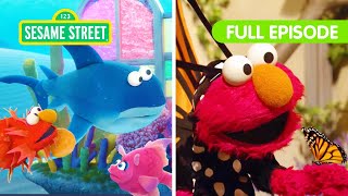 Elmos Animal Friends  FOUR Sesame Street Full Episodes [upl. by Atikin]