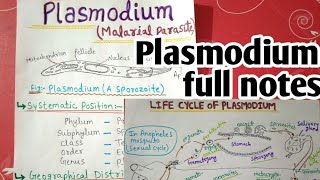 plasmodium vivax life cycle full notes  1 [upl. by Matelda512]