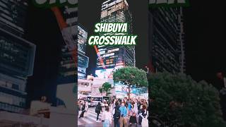 Crosswalk 271 AbsoluteTonny crossroads crosswalk walking trekking shibuya [upl. by Siesser439]