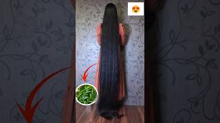 💯Super Fast Hair Growth Formula Hair Care Tips shorts haircare longhair hairgrowth viral [upl. by Aicinod111]