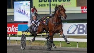 2024 Flashing Red Discretionary Handicap 2647M Albion Park Australia  Leap to Fame 1555 [upl. by Anikat752]