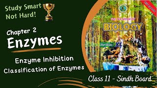 Enzyme Inhibition  Classification of Enzymes  Chapter 2  Sindh Board  Class 11  Biology [upl. by Duaner846]