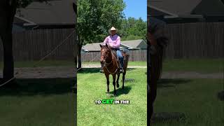 Swinging a Rope to get Handy with Horses horses horse horseeducation cowboys horseriding [upl. by Eichman]