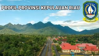 Profil Provinsi Kepulauan Riau [upl. by Arihsay]