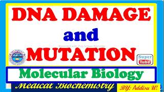 DNA Damage and Gene Mutation pointmutation dnareplication newcurriculum nucleicacids [upl. by Allenod241]