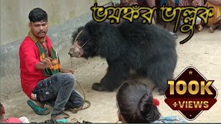 Dere Bear  ভয়ঙ্কর ভাল্লুক [upl. by Alrzc471]