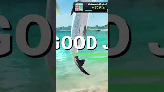 Epic Catch Unique Fish in Fishing Clash 🎣  Short Gameplay [upl. by Ethel]