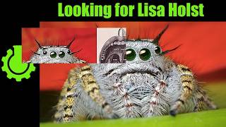 Looking for Lisa Holst Re 10 Misconceptions Rundown [upl. by Far]