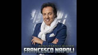 Francesco Napoli  Arrivederci Amore [upl. by Noby184]