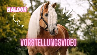 MEIN NEUES PFERD  VORSTELLUNGSVIDEO 🦄 [upl. by Bender]