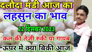 दलौदा मंडी आज का लहसुन का भाव 22 दिसंबर 2023 garlic rate today daloda aaj ka lahsun ka bhav [upl. by Bibeau10]