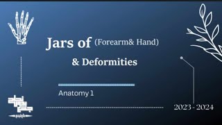 Jars of forearmhand amp deformities of nerves Anatomy 1 [upl. by Yelnik]