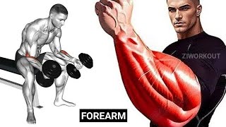 FOREARM WORKOUT  BIG ARMS WORKOUT AT HOME  Grow your Wrist Thicker  How to get Bigger Forearms [upl. by Gardell]